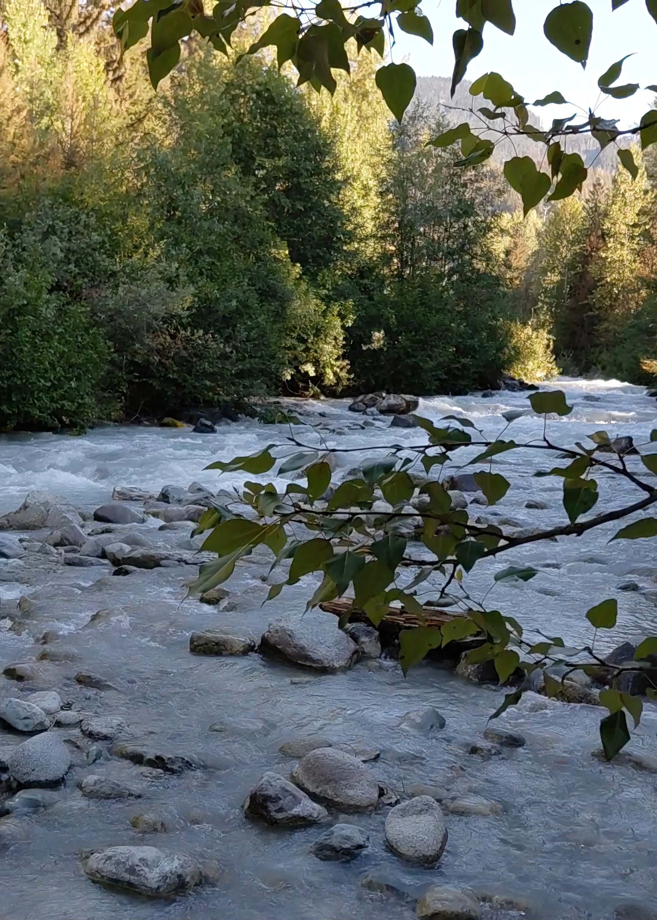 Taming the Backcountry Waters: Essential River Safety Guide for the Pacific Northwest