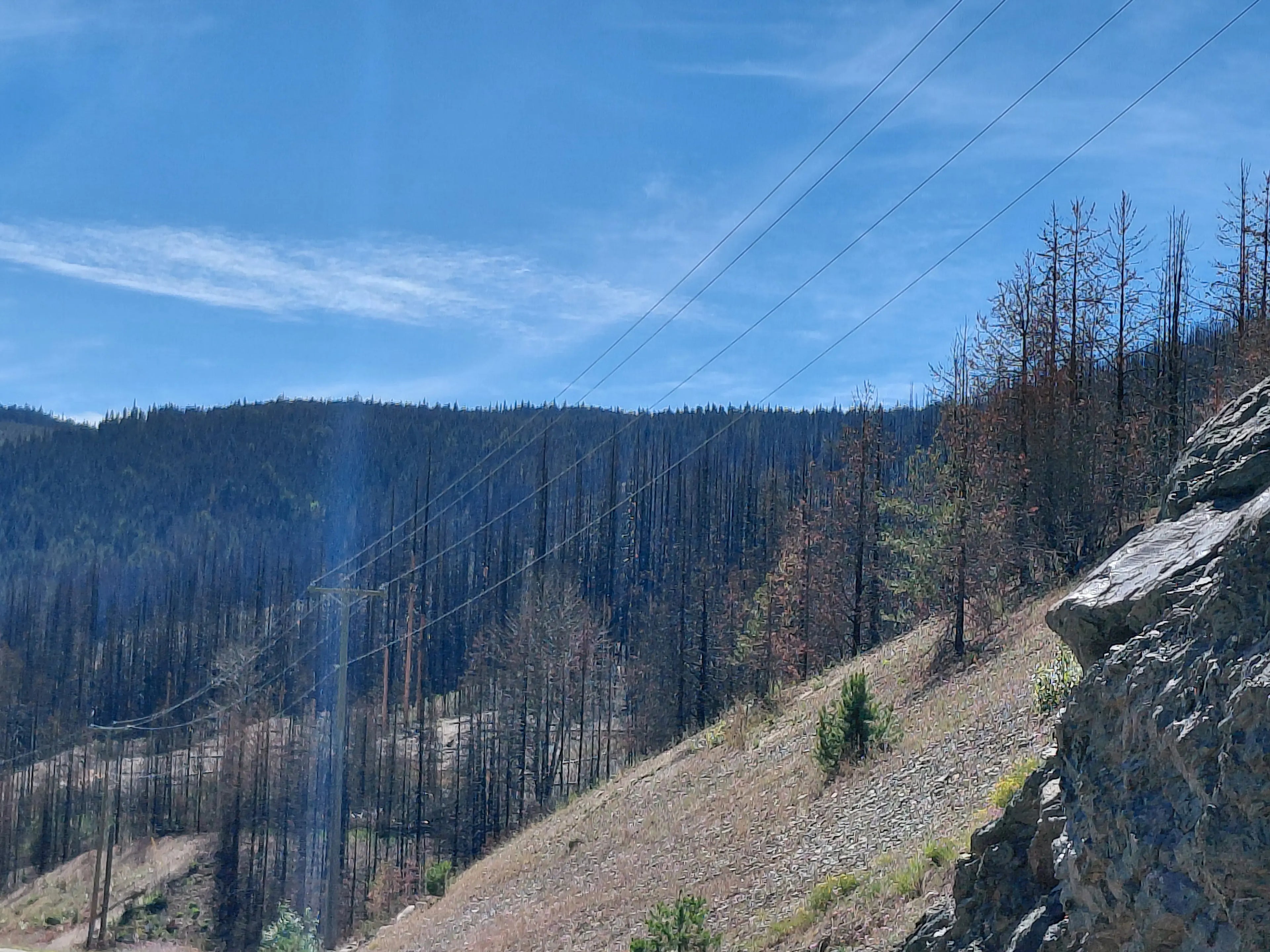 BC Wildfire Safety & Responsible Camping Guide | Nomad Pacific
